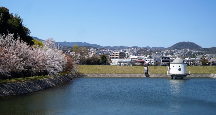 火垂るの墓ゆかりのニテコ池の桜_b0063958_09533074.jpg