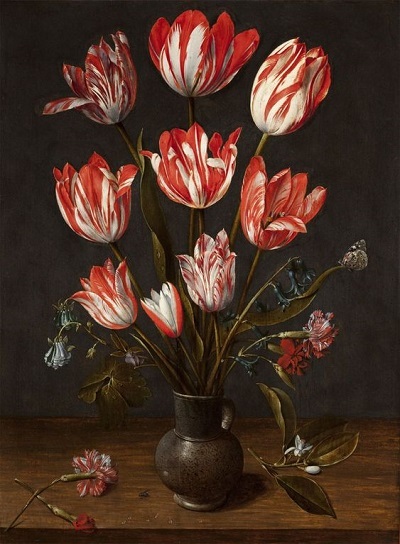 Tulips:妄想展覧会_c0084183_22161771.jpg