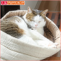 我が家の福の神_a0389088_01422049.jpg