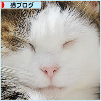 我が家の福の神_a0389088_01422052.jpg