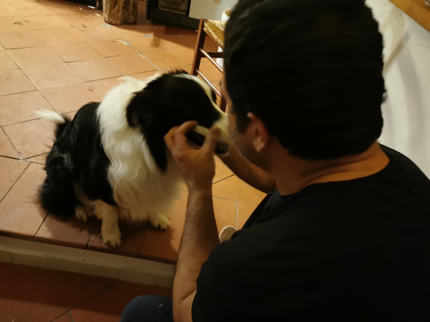 封鎖中のイタリアで突然の来客!_f0106597_06131919.jpg