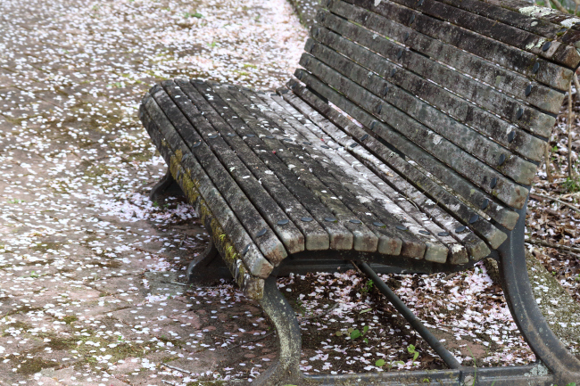 装いのベンチ _a0357206_21032004.jpg