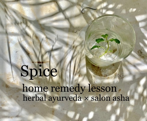 『Spice home remedy 講座』開催_f0201116_07240850.jpeg