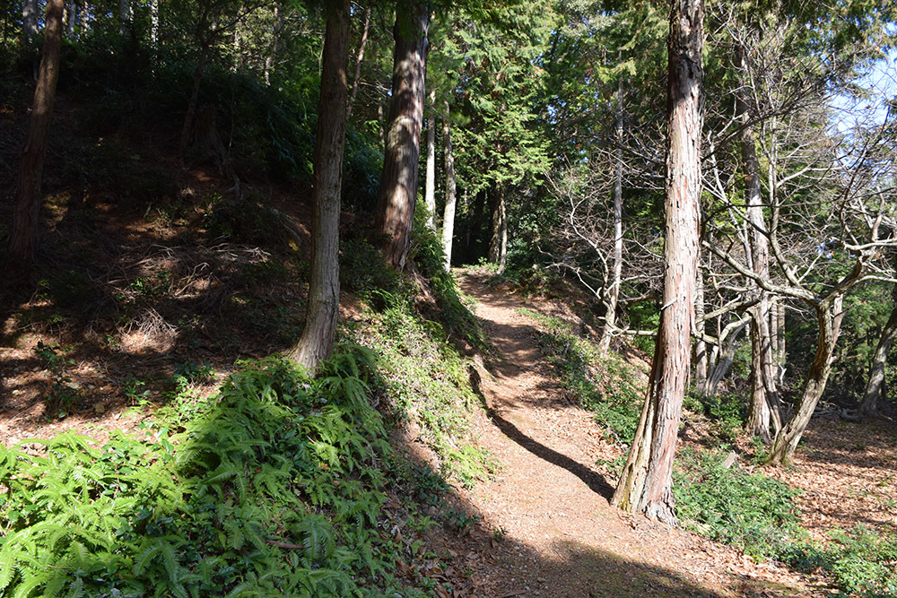 丹波神尾山城（本目城）跡攻城記。　その１　＜神尾山金輪寺＞_e0158128_11383774.jpg