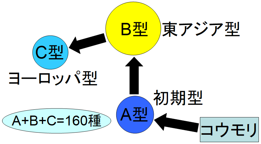 【バイオハザード】「イムジン河」を例にとって新型コロナウィルス変異を音楽で説明するとこうなる！？_a0386130_11015267.png