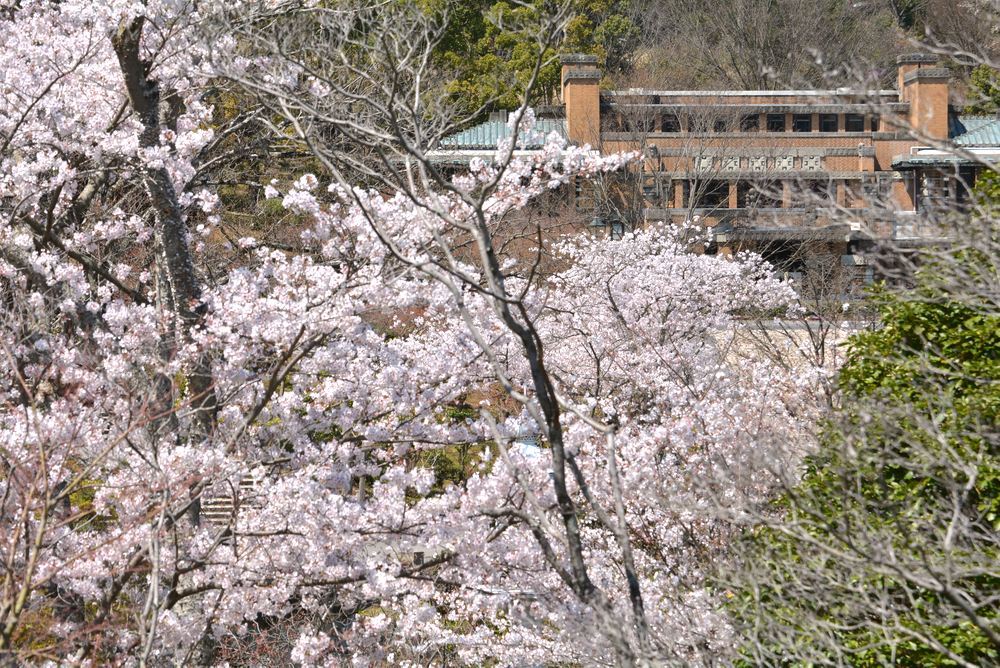 帝国ホテルと桜2_e0373930_23200525.jpg