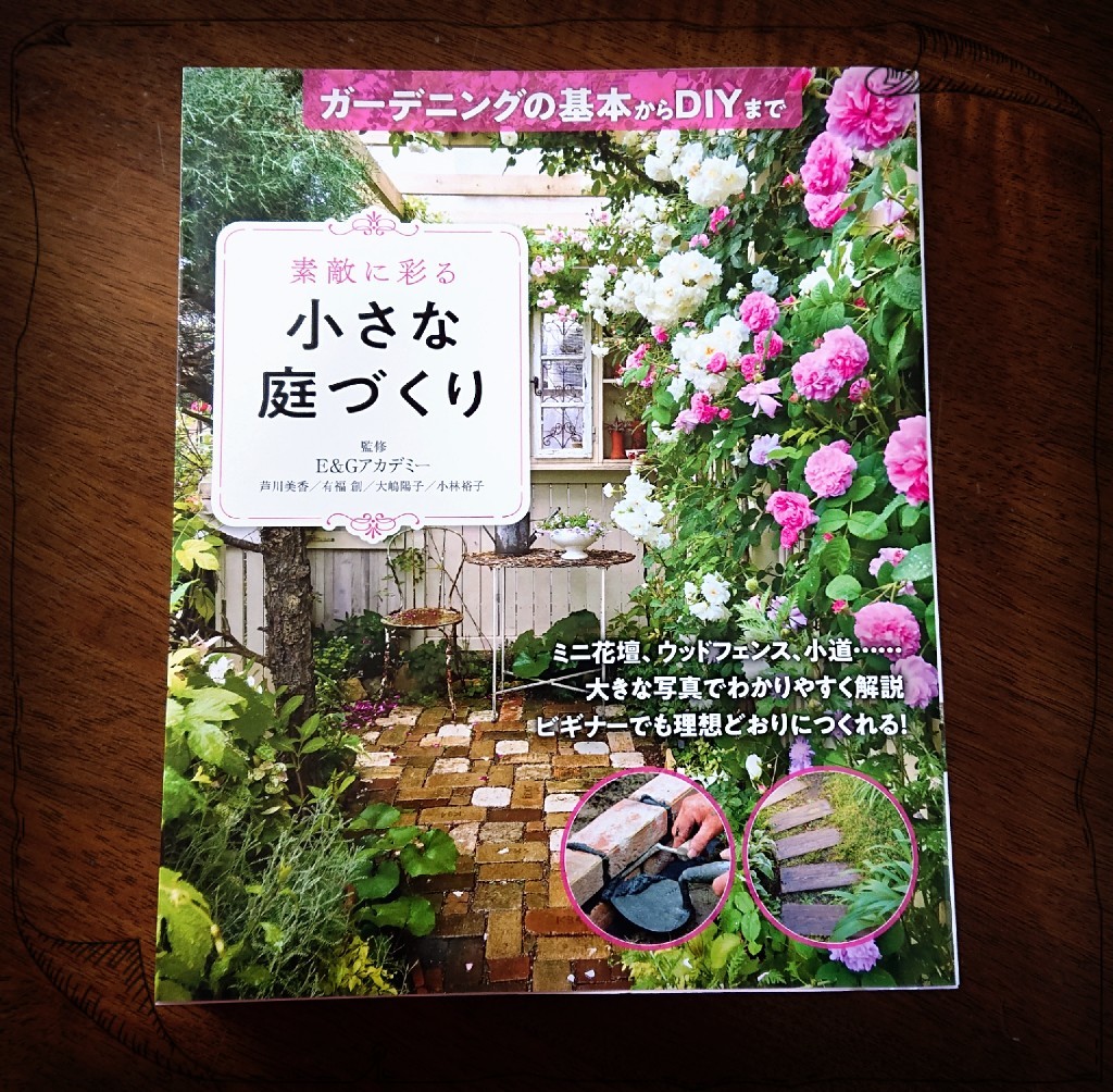 やっと入荷の｢あれ｣と､咲いたラナンキュラスの花_a0396340_14574618.jpg