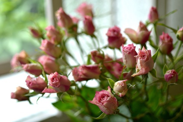 バラ３種 ショコラロマンティカ エースピンク リサ を使ったフラワーアレンジメント 花色 あなたの好きなお花屋さんになりたい