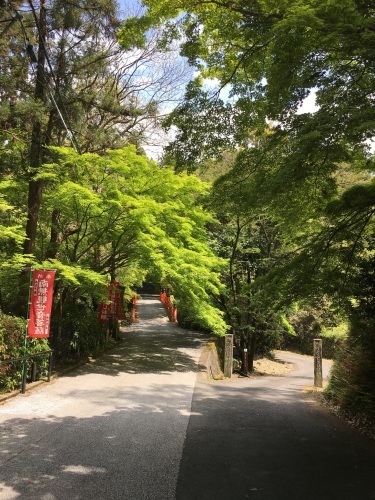 展示会ご案内_b0153663_23091986.jpeg