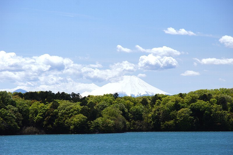 晴れた日の多摩湖と富士山_a0355365_11495581.jpg