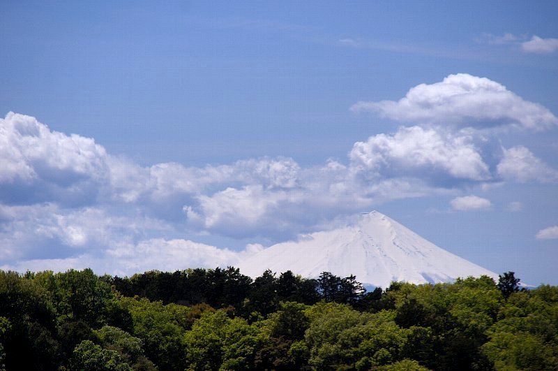 晴れた日の多摩湖と富士山_a0355365_11500851.jpg