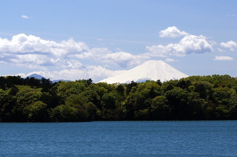 晴れた日の多摩湖と富士山_a0355365_12042470.jpg