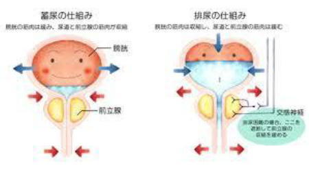 《 中高年の持病か！ 》_c0328479_13370417.jpg