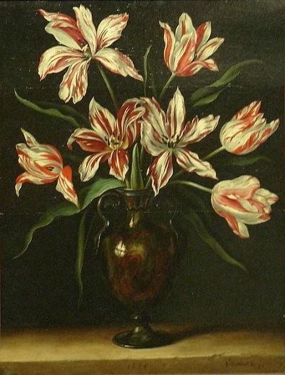 Tulips:妄想展覧会_c0084183_11121150.jpg