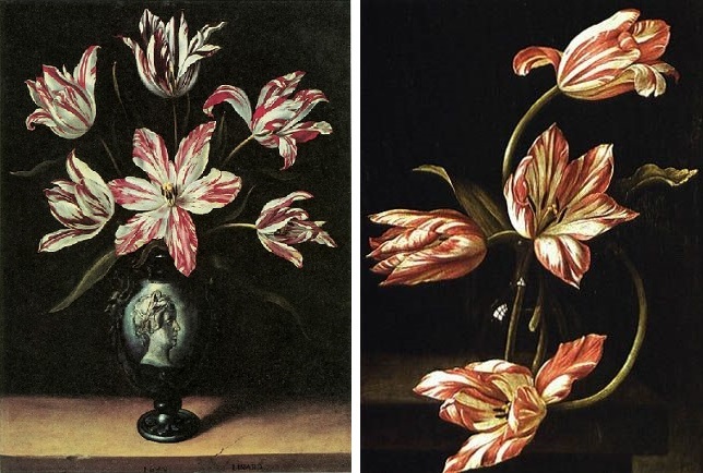 Tulips:妄想展覧会_c0084183_11121776.jpg