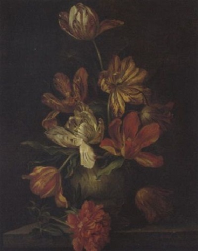 Tulips:妄想展覧会_c0084183_11122652.jpg