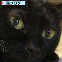 膀胱麻痺のイレーネ_a0389088_02521931.jpg
