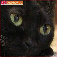 膀胱麻痺のイレーネ_a0389088_02521988.jpg