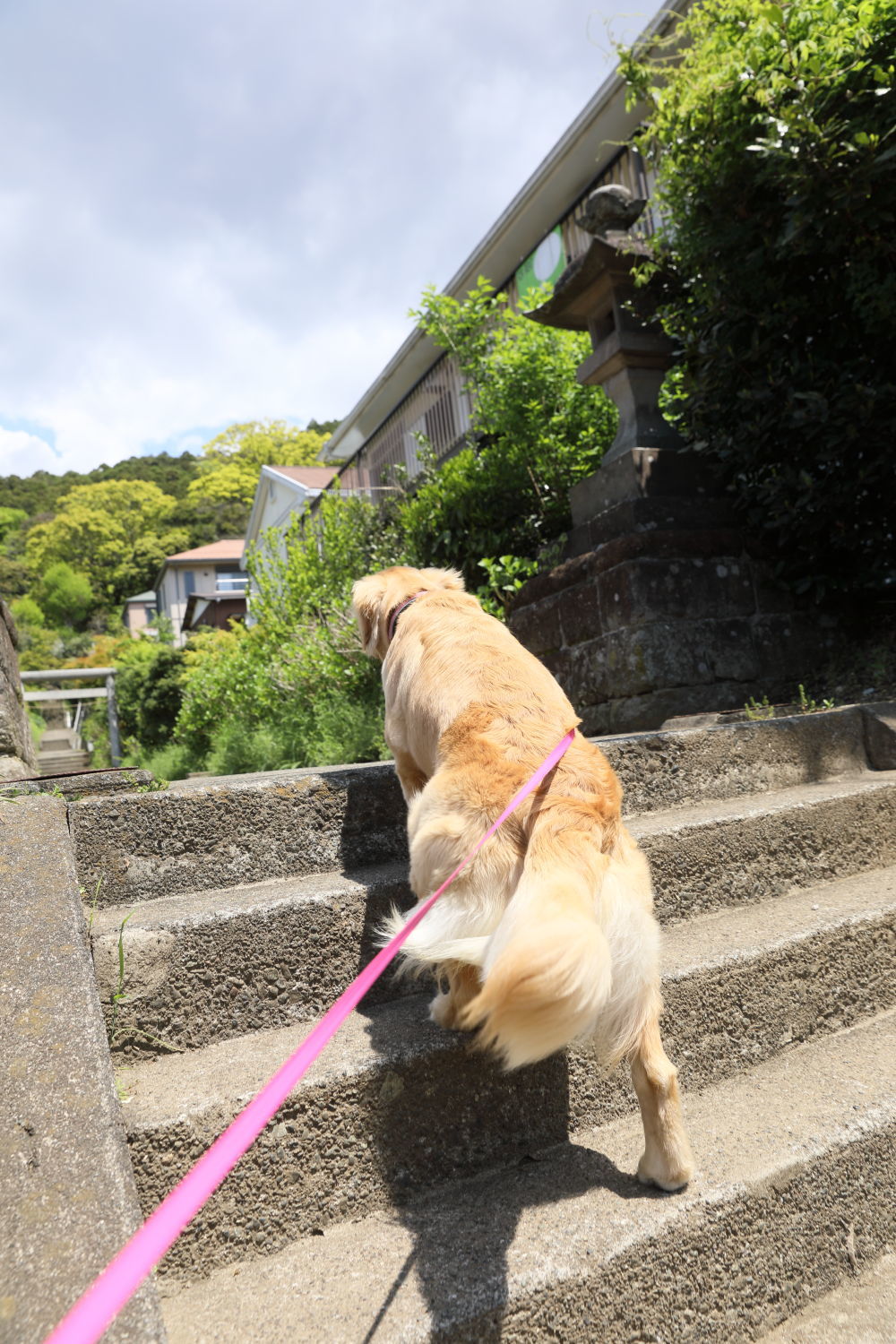 山道を行く♪_b0275998_14525219.jpg