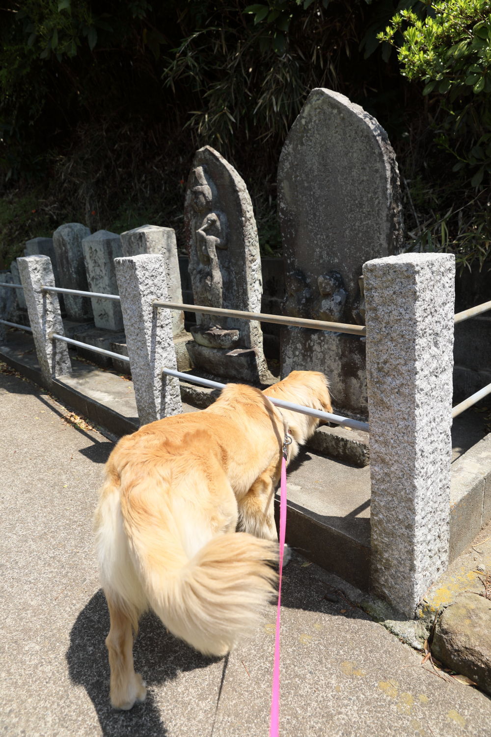 山道を行く♪_b0275998_14525425.jpg