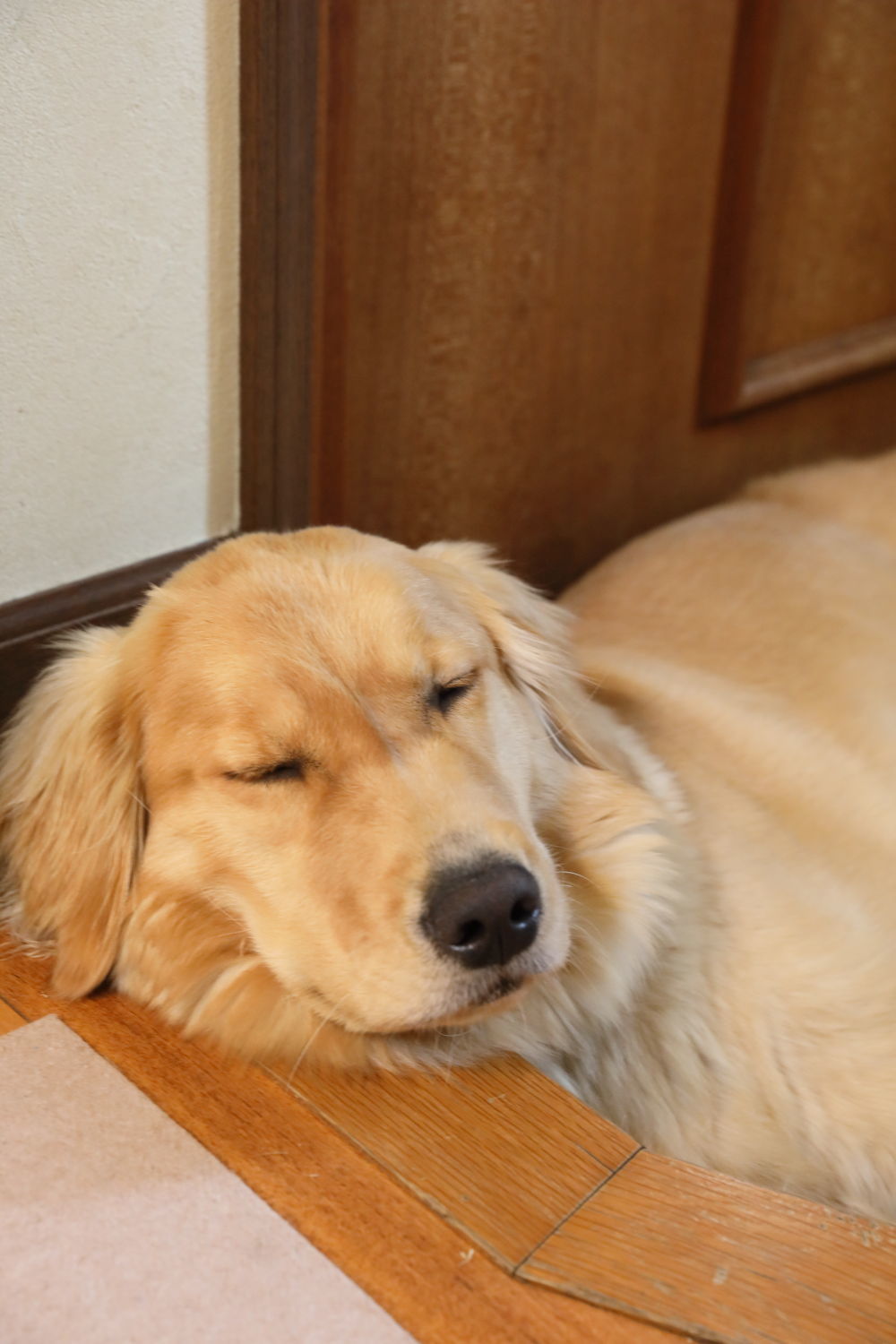 山道を行く♪_b0275998_14554579.jpg