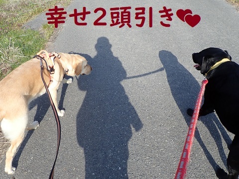 幸せな一日。_c0182012_19031321.jpg