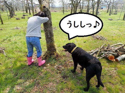 幸せな一日。_c0182012_19032161.jpg