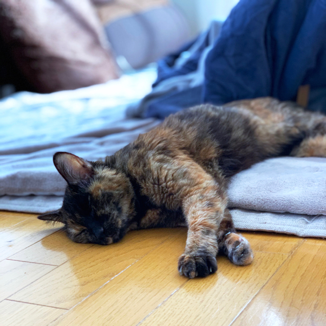 ドキッとする時_d0355333_21500963.jpg