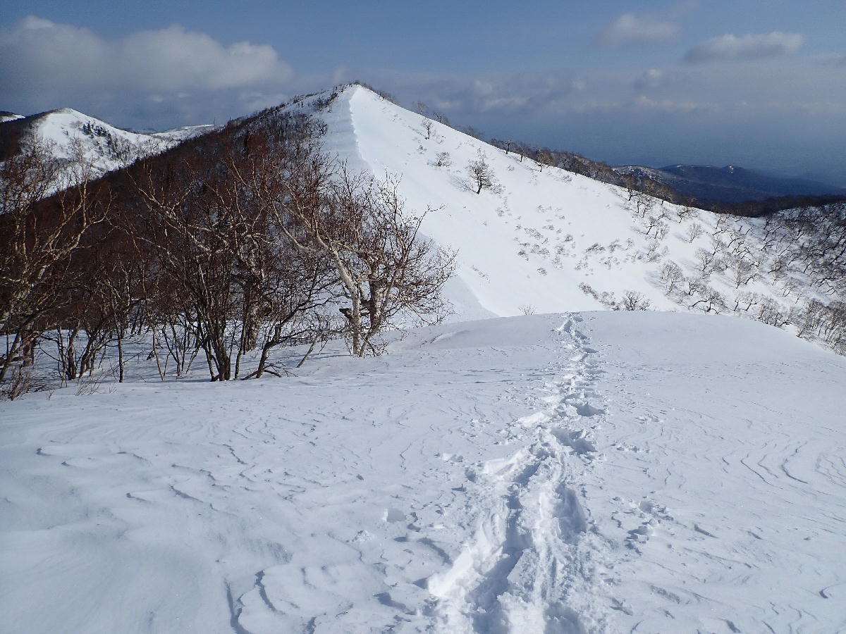 ペケレベツ岳1532m～早朝散歩　2020.04.25_e0352951_15394123.jpg