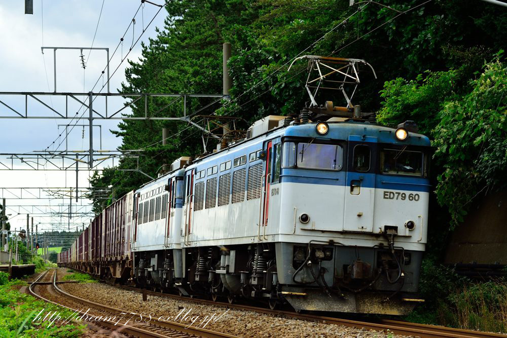 江差線、海峡線を走る貨物列車 : HIROのフォトアルバム
