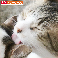 縞々牧場_a0389088_17595068.jpg