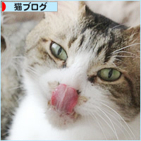 縞々牧場_a0389088_17595109.jpg
