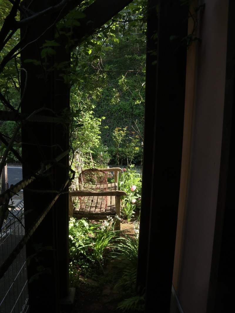 たまには書こう自分の庭･･･････ちょっとチューリップが多かったなぁ～。_b0331802_17241563.jpg