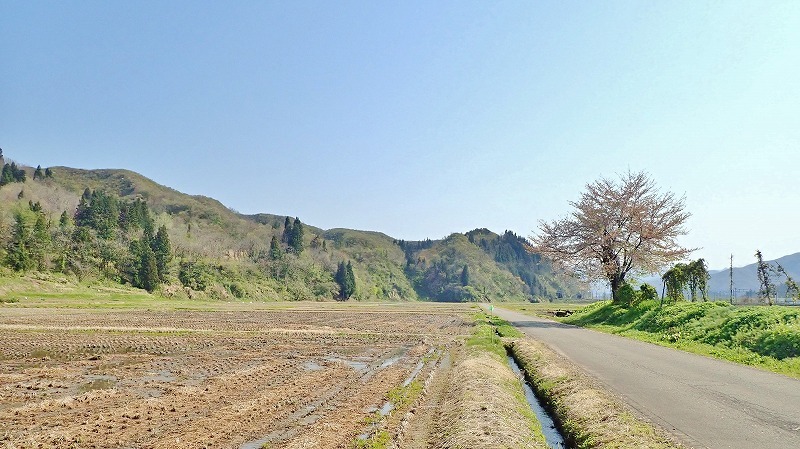 土曜日の「定点撮影」です_c0336902_19542340.jpg