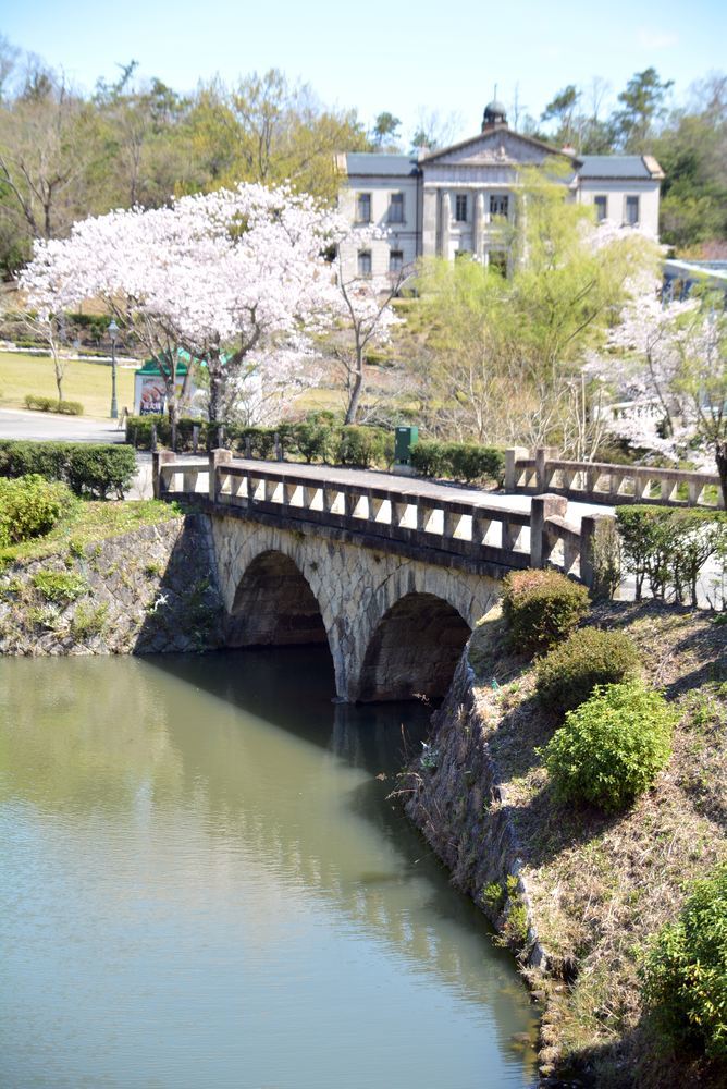天童眼鏡橋付近の桜_e0373930_10425427.jpg