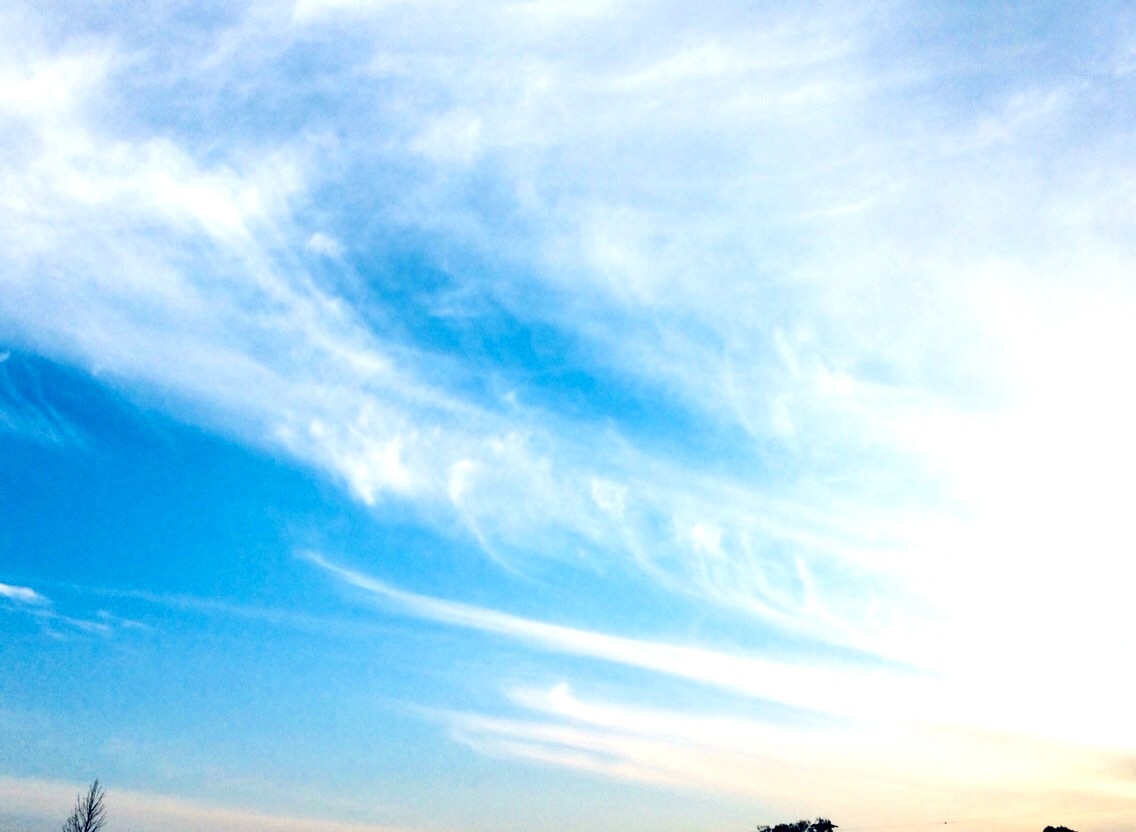 4月ももう終わりますね☺︎_f0206741_10124874.jpeg