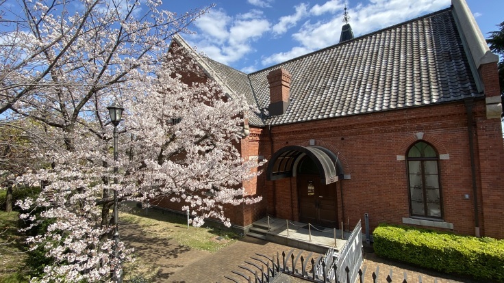 神戸文学館と桜_b0063958_15194089.jpeg