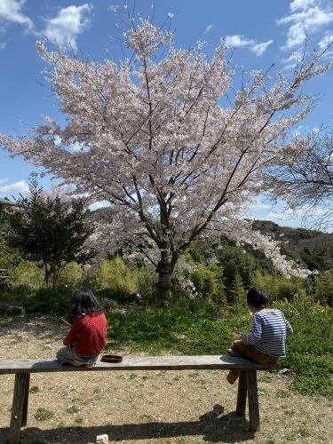 感謝_d0185565_08481120.jpeg