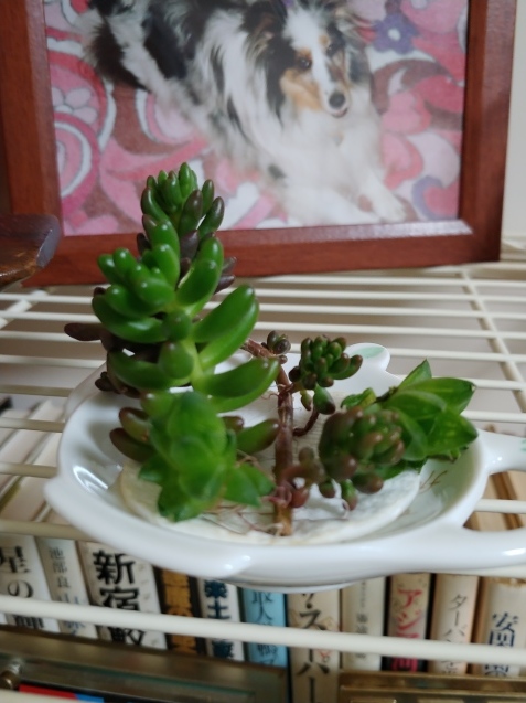 ブロ友さんのマフィン_c0162773_14495309.jpg