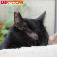 イレーネのおしり_a0389088_06532907.jpg