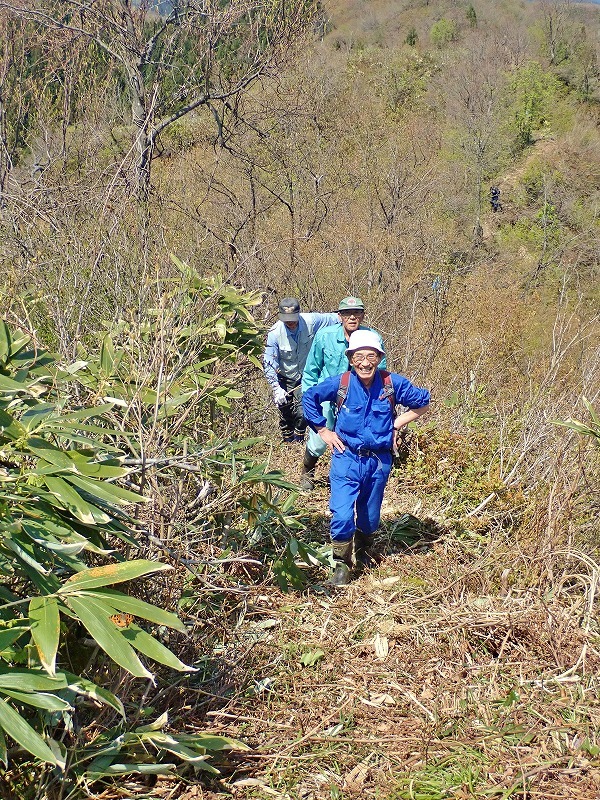 浦佐の西山尾根で\"柴刈り作業\"でした Ⅱ_c0336902_21145635.jpg