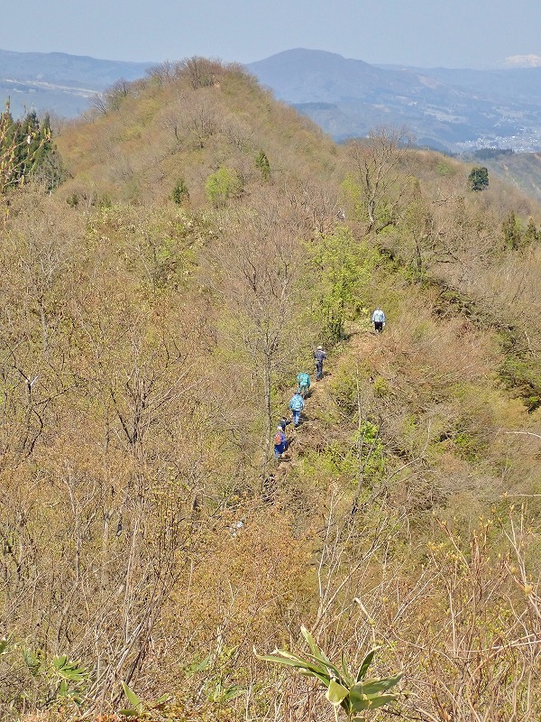 浦佐の西山尾根で\"柴刈り作業\"でした Ⅱ_c0336902_21151087.jpg