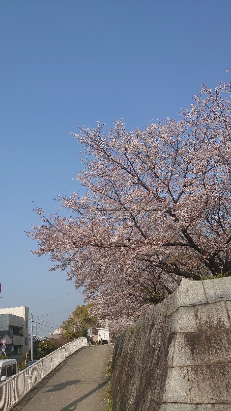 お元気ですか、元気ですよ。_b0334704_22460633.jpg