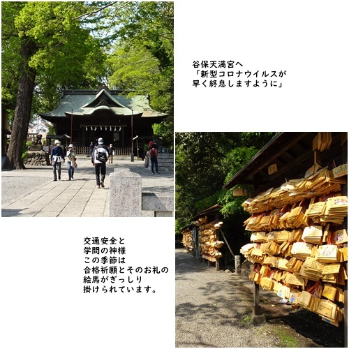 Stay Home 週間_c0051105_23231615.jpg