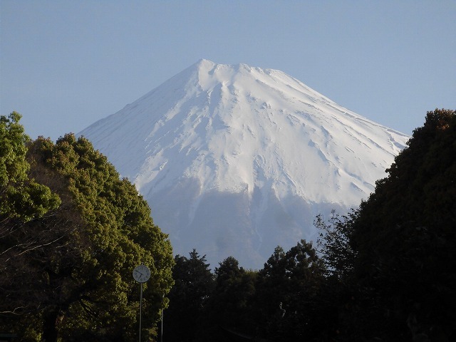 「勝負の2週間」が始まった! 昨日の朝は広見公園を回るウォーキング_f0141310_07023937.jpg