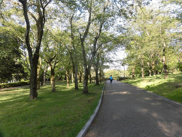「勝負の2週間」が始まった! 昨日の朝は広見公園を回るウォーキング_f0141310_07030294.jpg