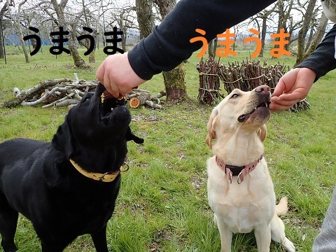 突然ですが問題です_c0182012_08435500.jpg