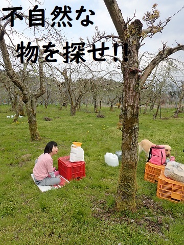 突然ですが問題です_c0182012_08440140.jpg