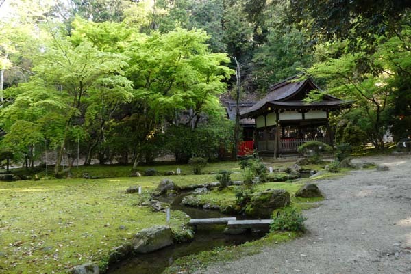 緑がいっぱい　上賀茂神社_e0048413_22083295.jpg