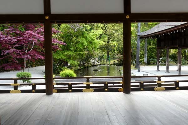 緑がいっぱい　上賀茂神社_e0048413_22084344.jpg